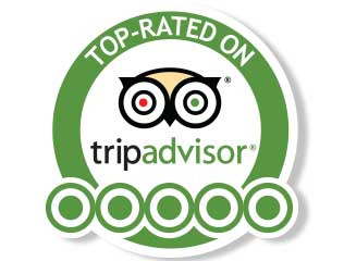 Trip Advisor Rated Activity